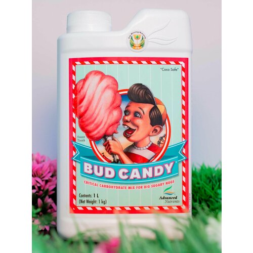 ���� ���������� �������� AN Bud Candy 1 � ������ ������