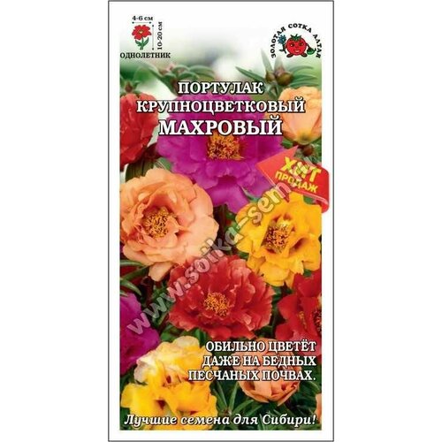 ���� ������ �������� �������� ��������������� (�����) 0,1� (������� ����� �����) ������ ������