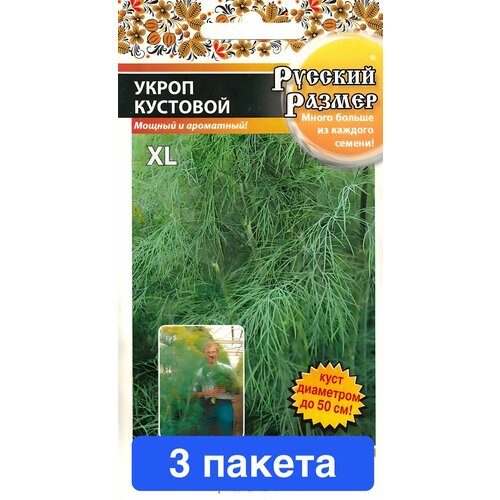 ���� ������ ������ � ��������� ������� ������ 