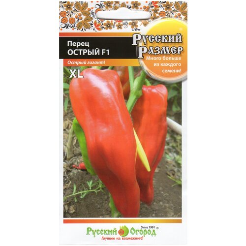 ���� ������ ����� ������ ������� ������ F1 15�� (������� ������) ������ ������