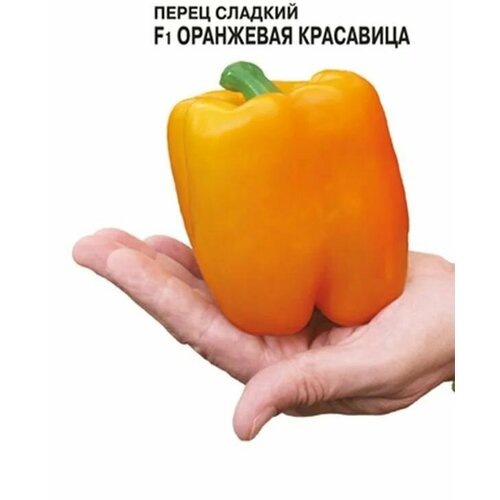 ���� ������������� ������ ����� �������� ��������� ��������� F1 ������ ������