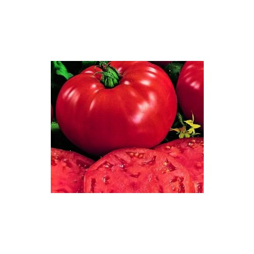 ���� ������������� ������ ������ ������ ������ ������