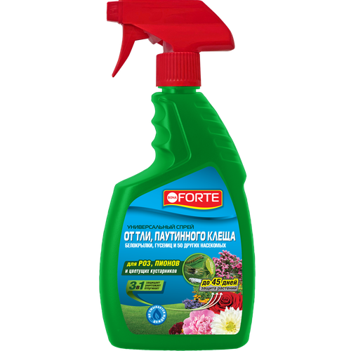 ���� ����� Bona Forte ������ ��� � ��������� ������, 750�� ������ ������