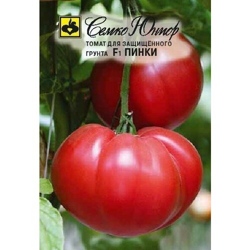 ���� ������ ����� ����� F1 5�� ����� ������ (�����) ������ ������