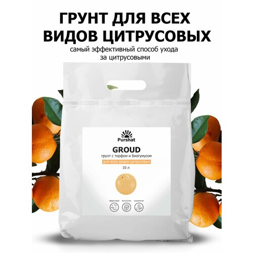 ���� ����� (�����) ��� ���������� (�����, ��������, �������) ������. ����������� ���������� � ������ � ���������� (Purshat)10 � ������ ������